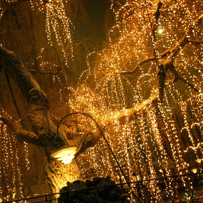 outdoor led decoration lights