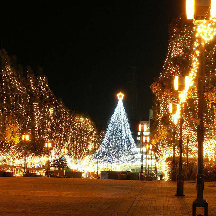outdoor led decoration lights