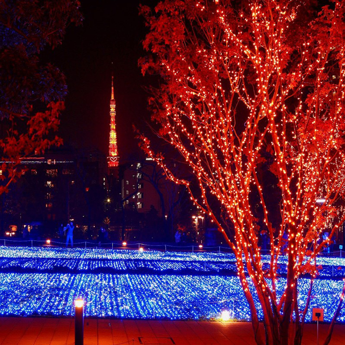 outdoor led decoration lights