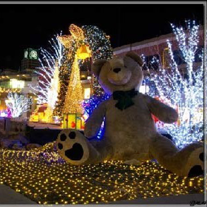outdoor led decoration lights