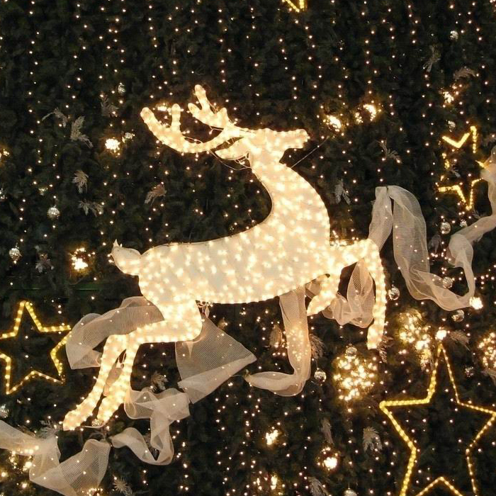 outdoor led decoration lights